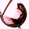 Alkohol