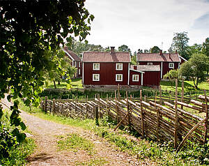 Gammel svensk ødegård i Småland omgivet af skov