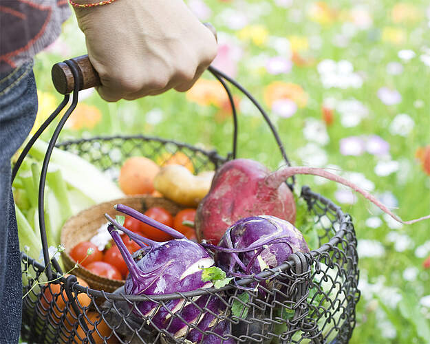 Danske grøntsager i sæson med grillede grøntsager, tomat, squash og agurk