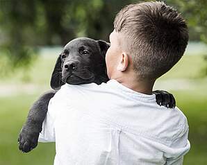 E-Guiden Livsstil - Hvalpechok - Puppy blues hos nye hundeejere