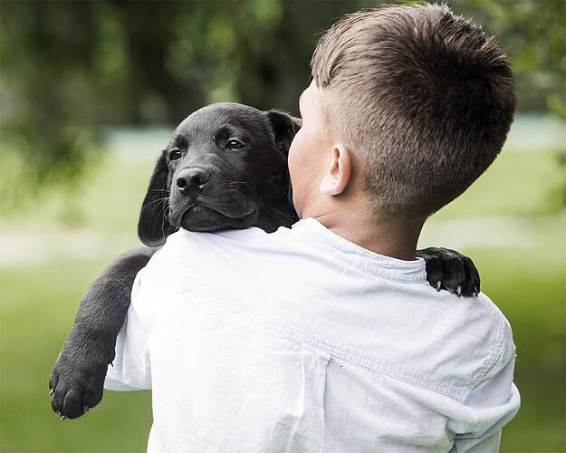 E-Guiden Livsstil - Hvalpechok - Puppy blues hos nye hundeejere