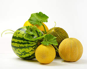 Melontyper med vandmelon, honningmelon og andre populære meloner på hvid baggrund