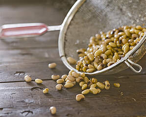 Protein – fakta om kroppens byggesten og næringsstoffets funktion