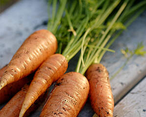 Vitamin A er en antioxidant, som har betydning for syn, hud, immunforsvar og kroppens vækst