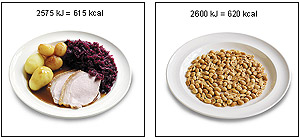 Hvad indeholder mest energi ? 